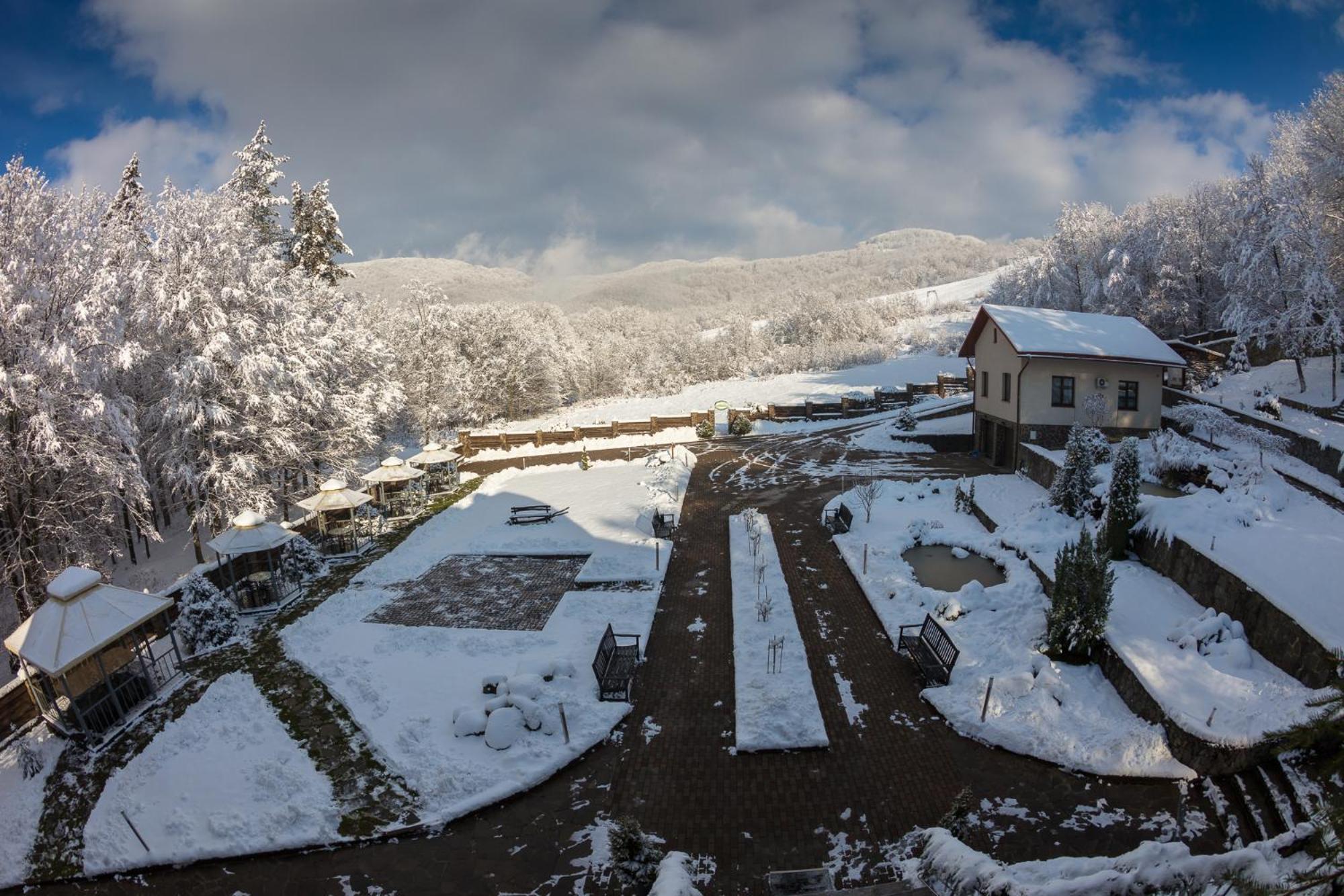 Villa Kvitka Svalyava Exterior photo
